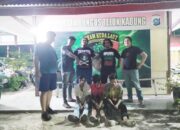 Polsek Bungus Tangkap Tiga Pengedar Ganja, Operasi Antik