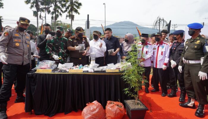 Kejari Padangpanjang Musnahkan 2 Kg Ganja dan Sabu, Berantas Narkoba!