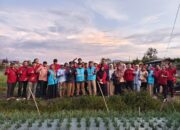 PLN Gandeng Media Sosialisasikan Electrifying Agriculture di Sumbar