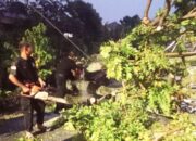 Hujan Angin Robohkan Kedondong, Timpa Rumah dan Tutup Akses Jalan Padang