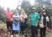 Petani Kurnia Selatan Dharmasraya Pacu Ketahanan Pangan, Wabup Beri Apresiasi