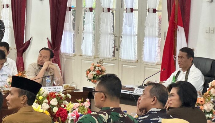 DPR RI Dorong Percepatan Hilirisasi Gambir Sumbar, Kuasai Pasar Global!