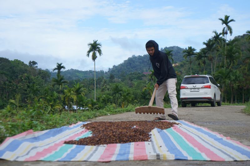 nagari-unggan-berhasil-tekan-perambahan-hutan-lewat-perhutanan-sosial