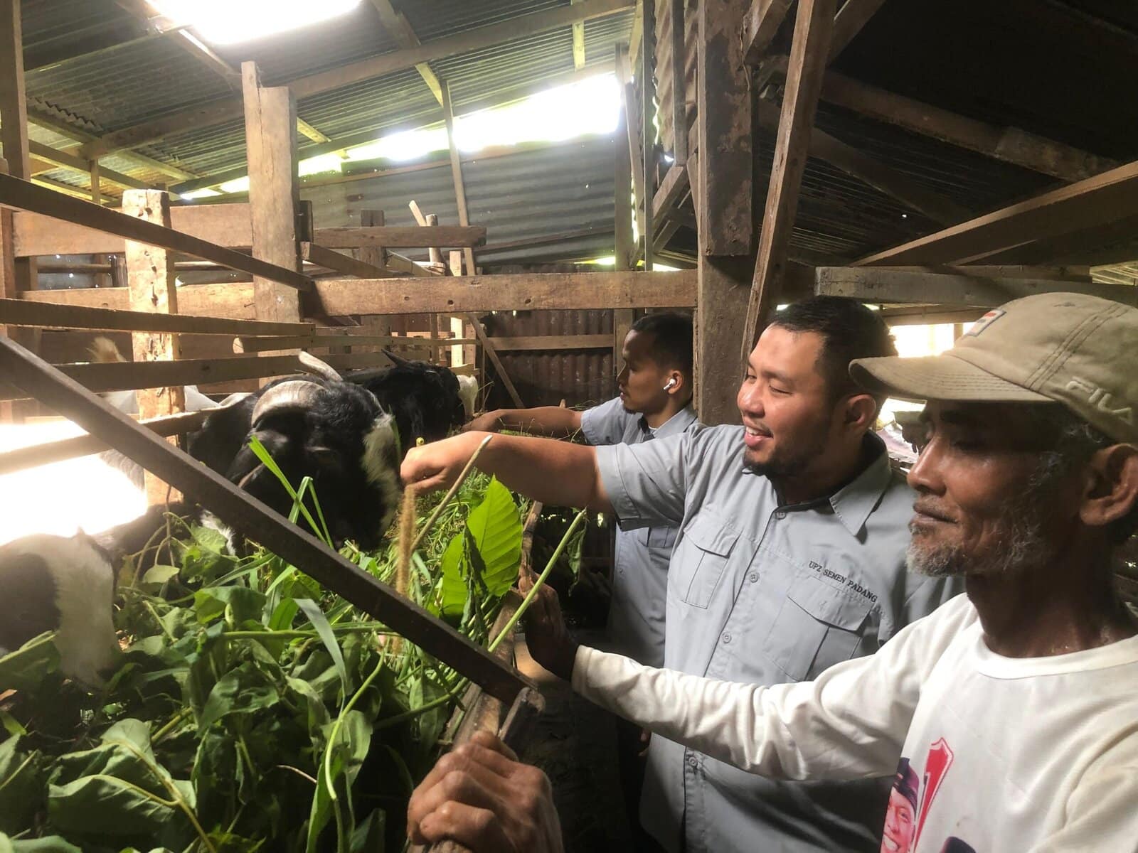 kambing-etawa-jadi-harapan-baru-ekonomi-warga-kampung-padayo