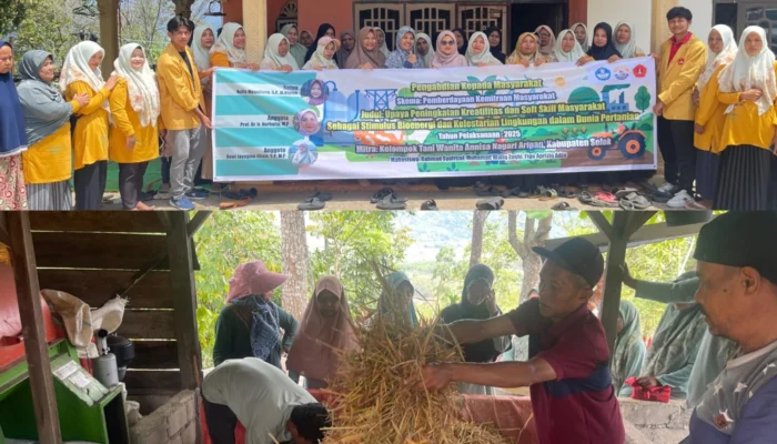 Dosen Pertanian UMMY Latih Kelompok Tani Annisa Manfaatkan Limbah Jerami dan Kotoran Ternak
