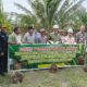 panen-perdana,-program-replanting-sawit-di-sumbar-berhasil