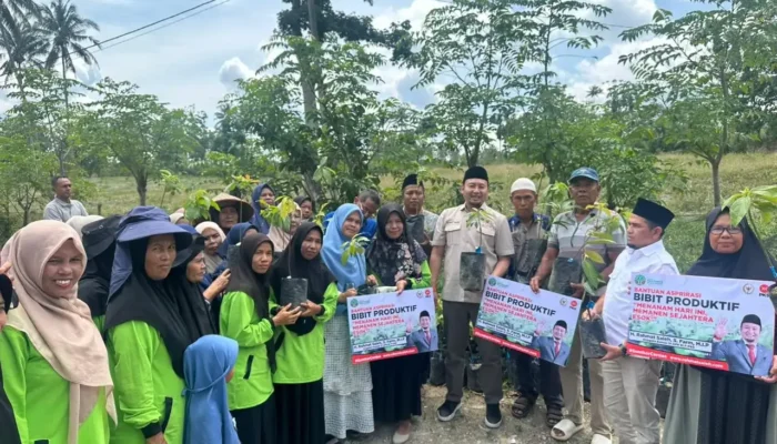 Rahmat Saleh Serahkan Bibit Unggul, Petani Solok Siap Tingkatkan Produktivitas