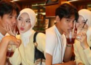 Hakim Kabulkan Cerai Jule, Na Daehoon Asuh Anak