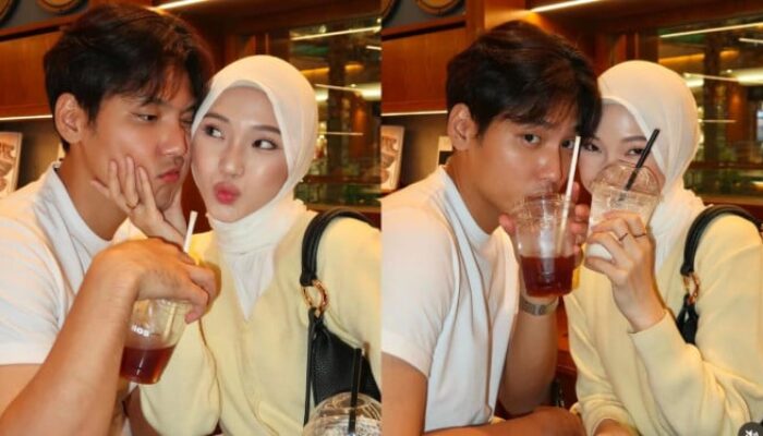 Hakim Kabulkan Cerai Jule, Na Daehoon Asuh Anak