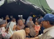 Prabowo Gerak Cepat: Jaga Lingkungan, Awasi Penebangan Liar!