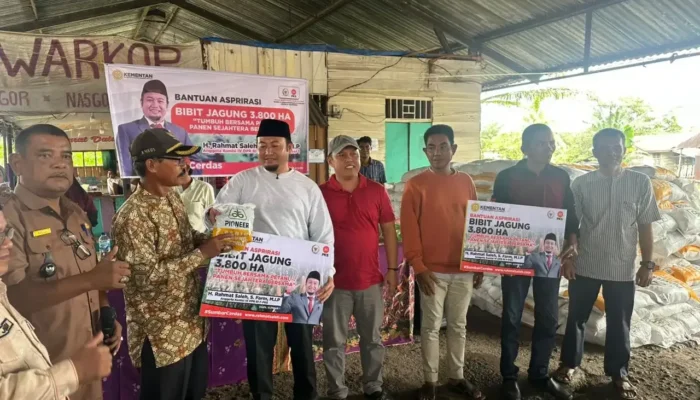 Genjot Produksi Jagung, Rahmat Saleh Berikan Bantuan 8 Ton Bibit di Pessel