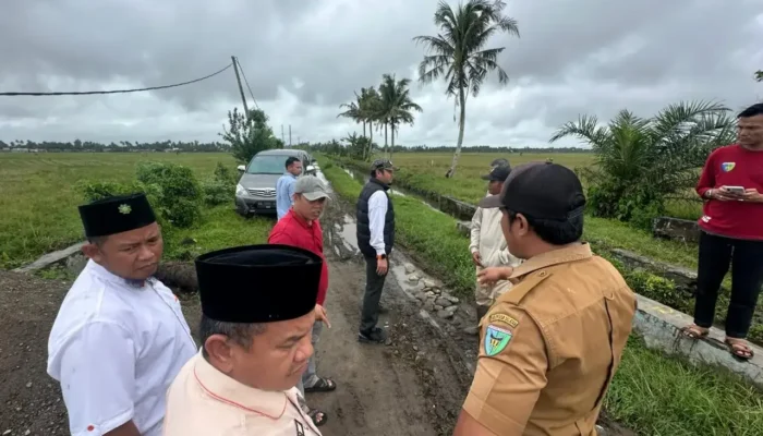 Rahmat Saleh Kritisi Proyek Irigasi Tersier Pesisir Selatan yang Terbengkalai