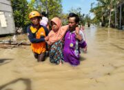banjir-demak,-2.839-warga-mengungsi-akibat-luapan-sungai-tuntang