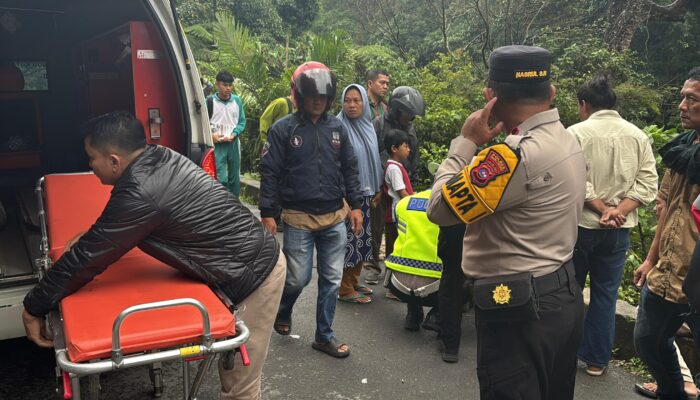 Evakuasi Tujuh Korban Innova Terjun Jurang di Lembah Anai