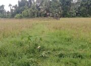 Petani Padang Desak Pemko Perbaiki Irigasi Gunung Nago