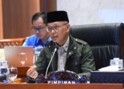 Sukamta Apresiasi Diplomasi Cepat Bebaskan Aktivis Indonesia dari Israel