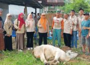 DPW Tani Merdeka Sumbar Salurkan Kurban di Bungtekab