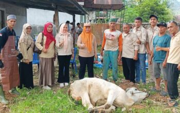 DPW Tani Merdeka Sumbar Salurkan Kurban di Bungtekab