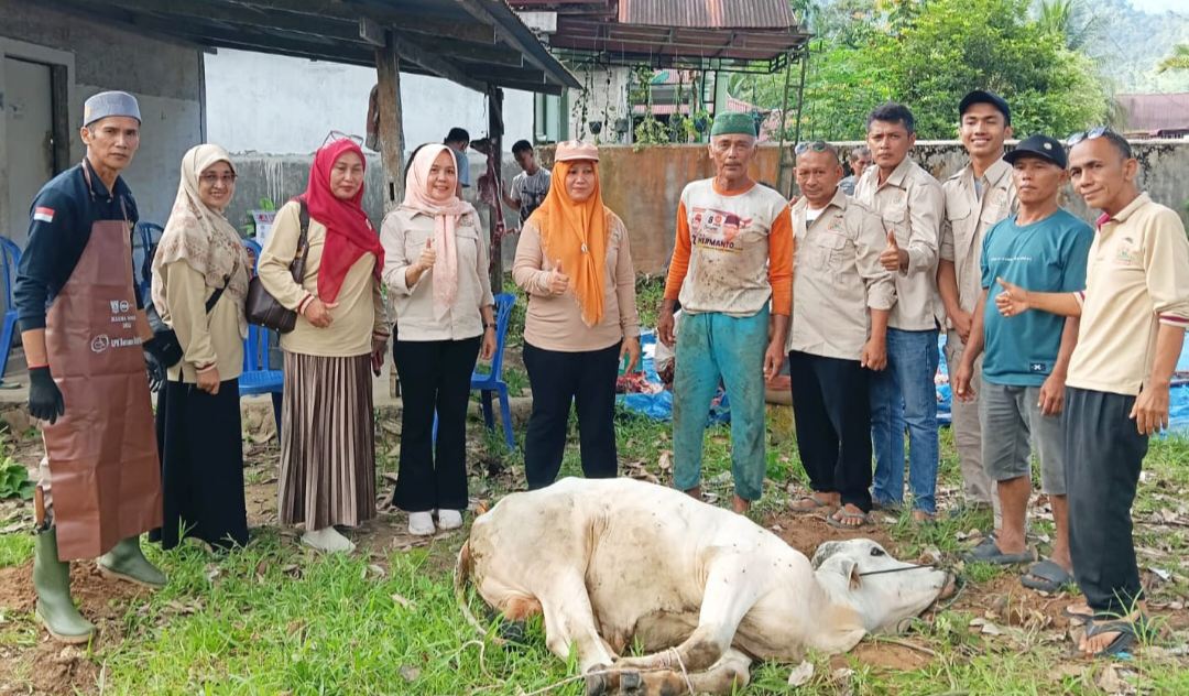 dpw-tani-merdeka-sumbar-sembelih-hewan-kurban-idul-adha-1447-h-di -bungtekab