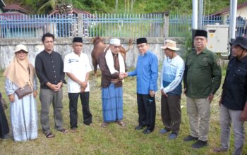 Maigus Nasir Tinjau Penyembelihan Sapi Kurban Presiden di Pauh