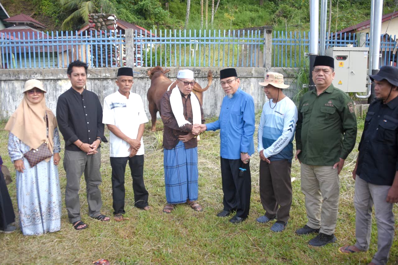 sapi-kurban-presiden-prabowo-disembelih-di-kecamatan-pauh-padang