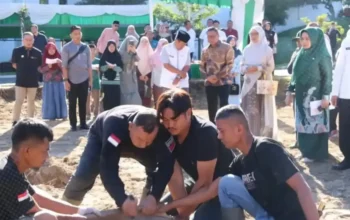 Pemko Bukittinggi Sembelih 12 Sapi Kurban Bersama Mitra Kerja