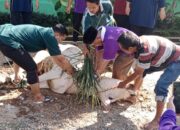 berkurban-tiga-ekor-sapi,-man-3-padang-tebar-kepedulian-dengan-lingkungan 