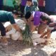 berkurban-tiga-ekor-sapi,-man-3-padang-tebar-kepedulian-dengan-lingkungan 