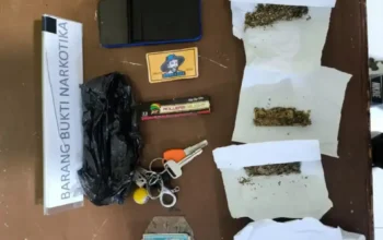 Polres Padang Panjang Tangkap Dua Pria Bawa Ganja Kering