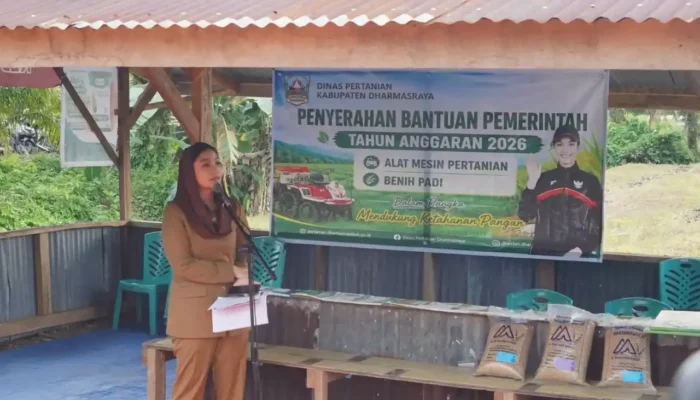 Dharmasraya Salurkan Traktor dan 96 Ton Benih Padi