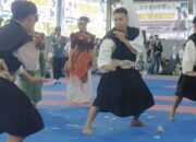 kejurnaswil-shorinji-kempo-sumatera-2026-jadi-ajang-pembinaan-atlet-menuju-prestasi-nasional-dan-internasional