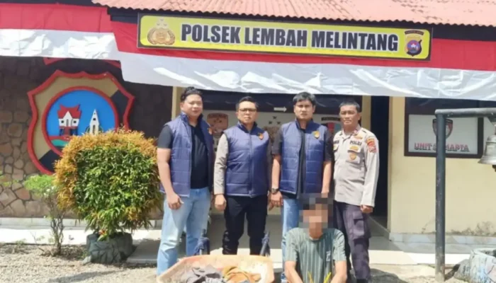 Polres Pasbar Tangkap DPO Pencuri Sawit dalam Operasi Sikat