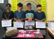 satresnarkoba-polres-pessel-bongkar-jaringan-peredaran-ganja-libatkan-empat-remaja