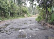 miris-ruas-jalan-nasional-bukittinggi-–-pasaman-rusak-parah,-sehingga-jadi-sorotan.