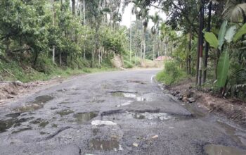 Warga Soroti Kerusakan Parah Jalan Bukittinggi-Pasaman