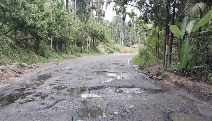 Warga Soroti Kerusakan Parah Jalan Bukittinggi-Pasaman