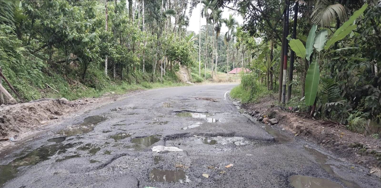 miris-ruas-jalan-nasional-bukittinggi-–-pasaman-rusak-parah,-sehingga-jadi-sorotan.